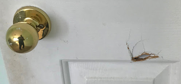interior door hole repair Ocala