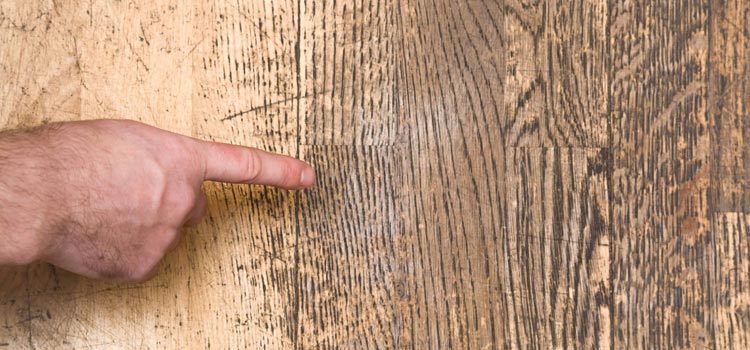 Wood Door Scratch Repair in Ocala