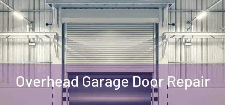  Overhead Garage Door Repair 